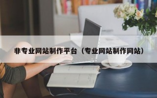 非专业网站制作平台（专业网站制作网站）